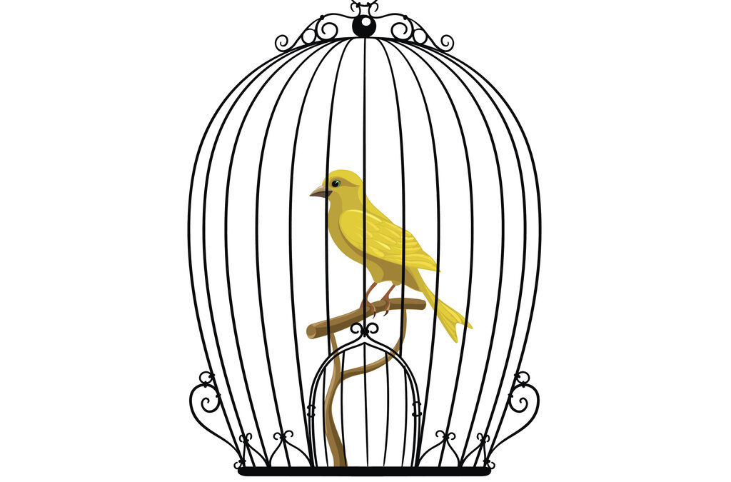 Canary in the Cage (Philip’s Funeral)