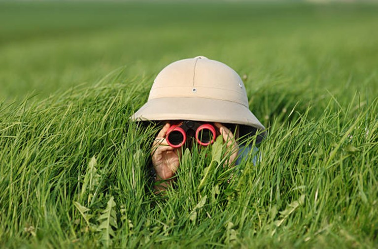 Finding What You Are Looking For
